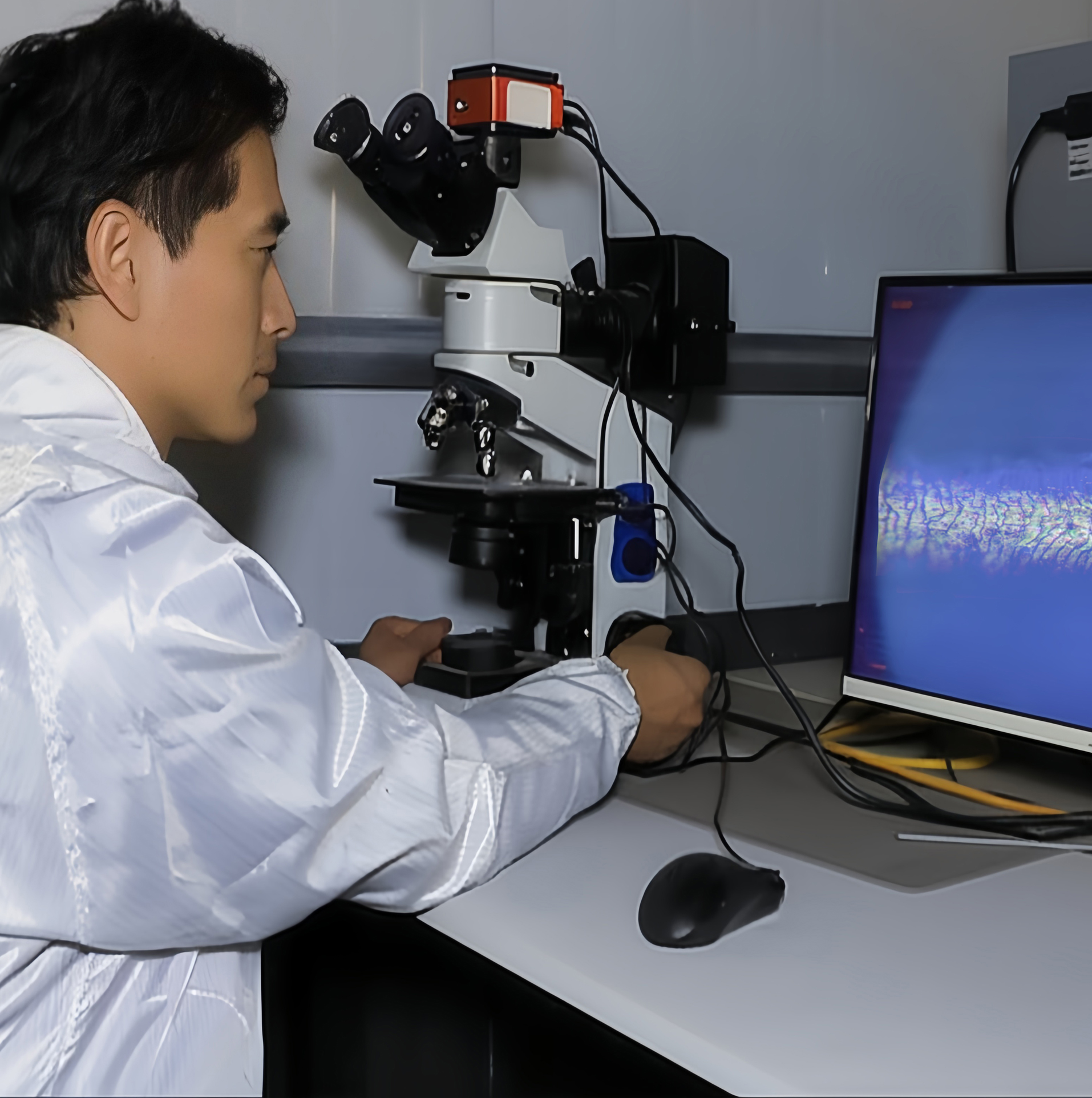 Existing PLUCHARM product inspection photograph